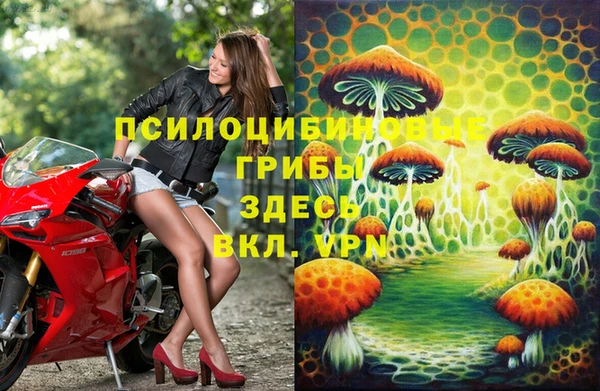 твердый Алексеевка