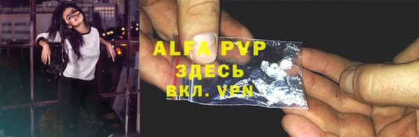 стафф Алексин