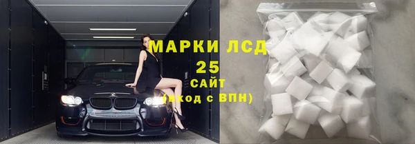 стафф Алексин