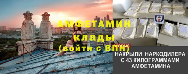стафф Алексин