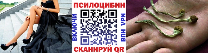 Галлюциногенные грибы мухоморы  Байкальск 